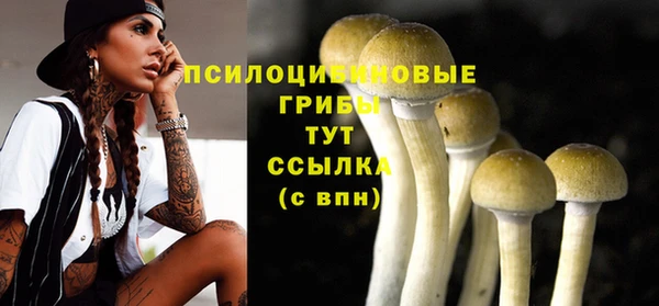 гидропоника Остров