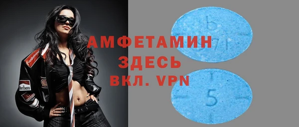 мдпв Осташков