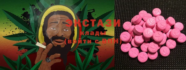 мдпв Осташков