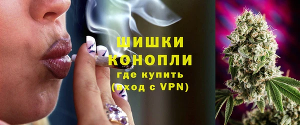 мдпв Осташков