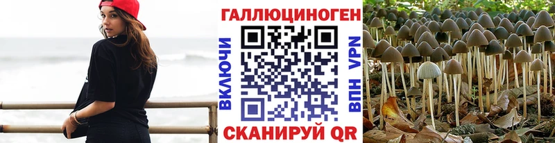 гидра tor Беслан Псилоцибиновые грибы Psilocybine cubensis