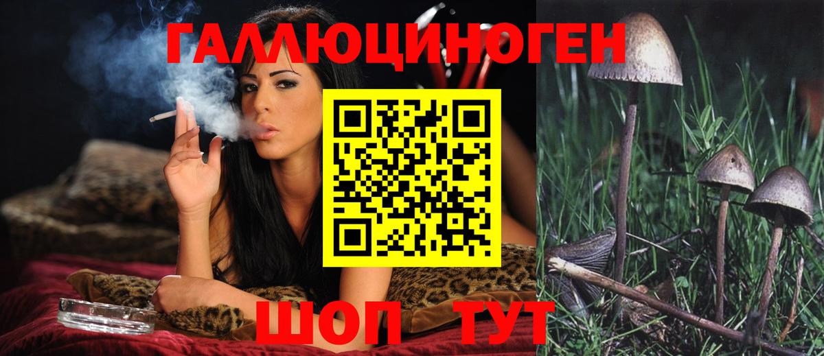 Галлюциногенные грибы прущие грибы  Вход с VPN  наркота  Беслан 
