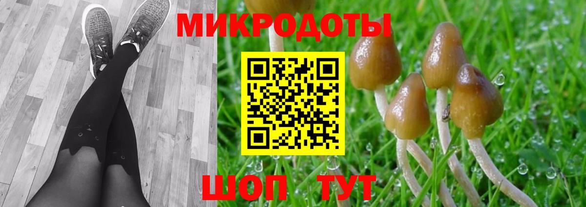 Псилоцибиновые грибы Psilocybine cubensis  купить наркотик  Беслан  Галлюциногенные грибы мухоморы 